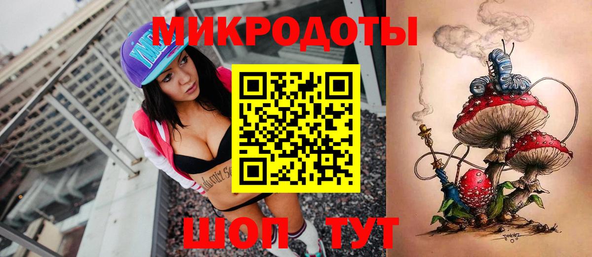 Галлюциногенные грибы Psilocybine cubensis Воронеж