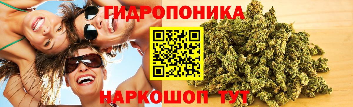 Конопля планчик Воронеж